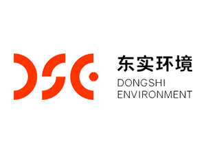 东实新能源